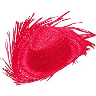 Widmann Beach straw pink - Costume Accessory