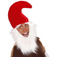 Widmann Dwarf hat with beard - Costume Accessory