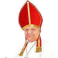 Widmann St. Nicholas mitre - Costume Accessory