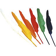 Widmann Indian feathers coloured 12 pcs - Costume Accessory