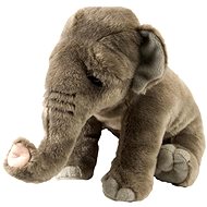 WILD REPUBLIC Grey elephant 30-38 cm - Soft Toy