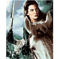 Zuty - Arwen on horseback (Lord of the Rings), 40×50 cm, stretched canvas on frame - Painting by Numbers