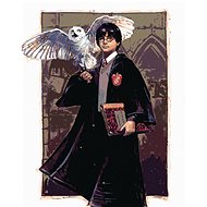 Zuty - Harry potter and the hedwig in the warts, 40×50 cm, without frame and without canvas shut off - Painting by Numbers
