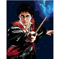 Zuty - Harry Potter and the Wand, 40×50 cm, stretched canvas on frame - Painting by Numbers