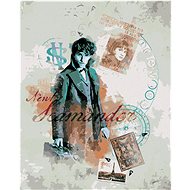 Zuty - Collage of scamander mollok (fantastic animals), 40×50 cm, stretched canvas on frame - Painting by Numbers
