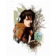 Zuty - Painted Frodo (Lord of the Rings), 40×50 cm, stretched canvas on frame - Painting by Numbers