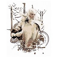 Zuty - Painted Gandalf (Lord of the Rings), 40×50 cm, stretched canvas on frame - Painting by Numbers
