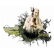 Zuty - Painted Saruman (Lord of the Rings), 40×50 cm, stretched canvas on frame - Painting by Numbers