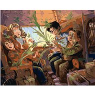 Zuty - Accident in the Hogwarts e×press (harry potter), 40×50 cm, stretched canvas on frame - Painting by Numbers