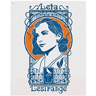 Zuty - Sequential years of lestrange (fantastic animals), 40×50 cm, stretched canvas on frame - Painting by Numbers