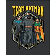 Zuty - Team batman, 40×50 cm, off canvas on frame - Painting by Numbers