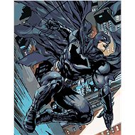 Zuty - Batman and the billowing cloak, 40×50 cm, stretched canvas on frame - Painting by Numbers