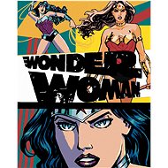 Zuty - Wonder woman 3× poster, 40×50 cm, off canvas on frame - Painting by Numbers