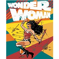 Zuty - Wonder woman and arrows poster, 40×50 cm, stretched canvas on frame - Painting by Numbers