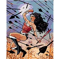 Zuty - Wonder woman arrows, 40×50 cm, off canvas on frame - Painting by Numbers