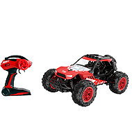 WIKY Bugina Doughty RC remote control 29 cm - Remote Control Car