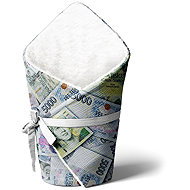 Impar Swaddle Wrap Money - Winter - Swaddle Blanket