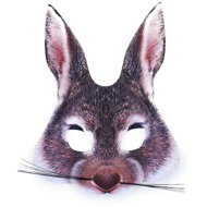 Pink Rabbit - Carnival Mask