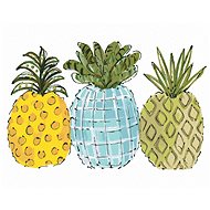 Colored Pineapples (Haley Bush), 40×50 cm, stretched canvas on frame - Painting by Numbers