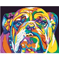 Colorful bulldog, 80×100 cm, without frame and without canvas - Painting by Numbers