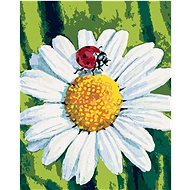 Ladybug on chamomile, 80×100 cm, without frame and without canvas shut off - Painting by Numbers