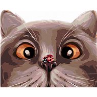 Ladybug on a cat, 40×50 cm, without frame and without canvas shut off - Painting by Numbers