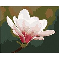 White magnolia, 40×50 cm, without frame and without canvas shut off - Painting by Numbers