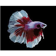 Warrior fish white and red, 40×50 cm, stretched canvas on frame - Painting by Numbers