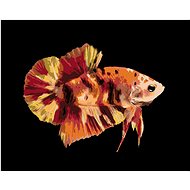 Warrior fish, 40×50 cm, without frame and without canvas - Painting by Numbers