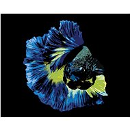 Warrior fish blue, 80×100 cm, stretched canvas on frame - Painting by Numbers