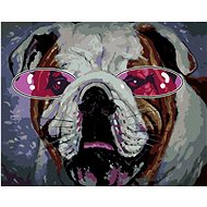 Bulldog with rose-coloured glasses, 40×50 cm, without frame and without switching off the canvas - Painting by Numbers