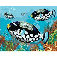 Black Fish, 80×100 cm, without frame and without canvas shut off - Painting by Numbers