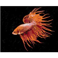 Red Fish, 40×50 cm, stretched canvas on frame - Painting by Numbers