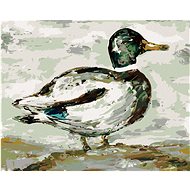 Wild Duck (Haley Bush), 80×100 cm, unframed and without canvas shut off - Painting by Numbers