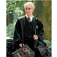 Draco with a monster (Harry Potter), 40×50 cm, stretched canvas on frame - Painting by Numbers