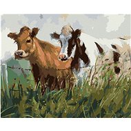 Two cows in a pen, 80×100 cm, stretched canvas on frame - Painting by Numbers