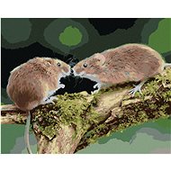 Two Mice in the Forest, 40×50 cm, without frame and without canvas shut off - Painting by Numbers