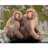 Two monkeys in a zoo in Japan, 40×50 cm, stretched canvas on frame - Painting by Numbers