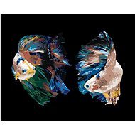 Two Warrior Fish, 40×50 cm, stretched canvas on frame - Painting by Numbers