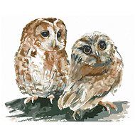 Two owls on white background, 40×50 cm, without frame and without canvas shut off - Painting by Numbers