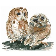 Two owls on white background, 80×100 cm, stretched canvas on frame - Painting by Numbers