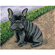 French Bulldog, 40×50 cm, stretched canvas on frame - Painting by Numbers