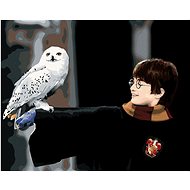 Harry Potter with Hedwig on his hands, 40×50 cm, stretched canvas on frame - Painting by Numbers