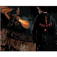 Harry Potter in the arena with the dragon, 40×50 cm, stretched canvas on frame - Painting by Numbers