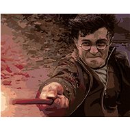 Harry Potter in the duel with Voldemort, 40×50 cm, unframed and without canvas shut-off - Painting by Numbers