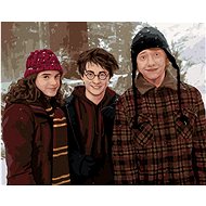 Harry Potter, Hermione and Ron in a snowy landscape, 40×50 cm, stretched canvas on frame - Painting by Numbers