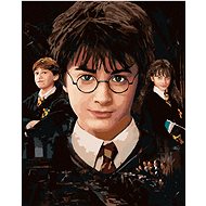 Harry Potter, Hermione and Ron, 40×50 cm, without frame and without canvas shut off - Painting by Numbers