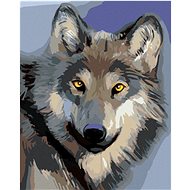 Head of a wolf, 40×50 cm, without frame and without canvas shut off - Painting by Numbers