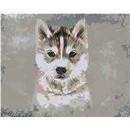 Husky on grey background, 80×100 cm, stretched canvas on frame - Painting by Numbers