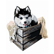 Husky in a box, 40×50 cm, without frame and without canvas - Painting by Numbers